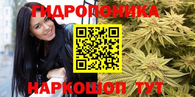 МДПВ Будённовск