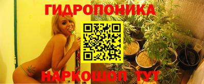 спиды Бузулук