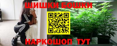 МДПВ Будённовск