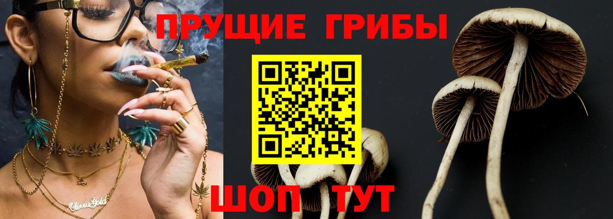 Стерлитамак  Галлюциногенные грибы Cubensis  Вход с VPN 